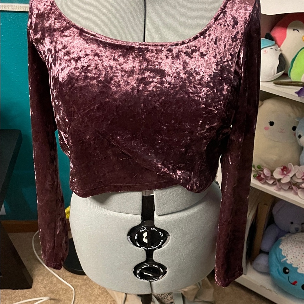 Abound Velvet Crop Top - Rose 1X
